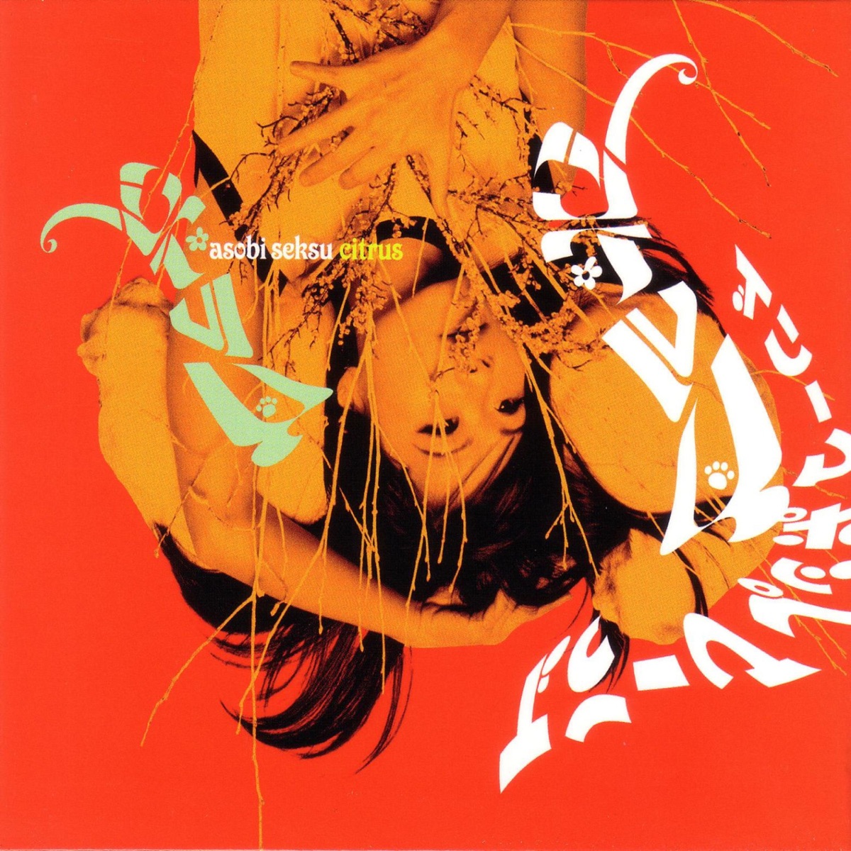 Asobi Seksu — Citrus album cover