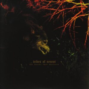 The Forest That Shelters / Filament
