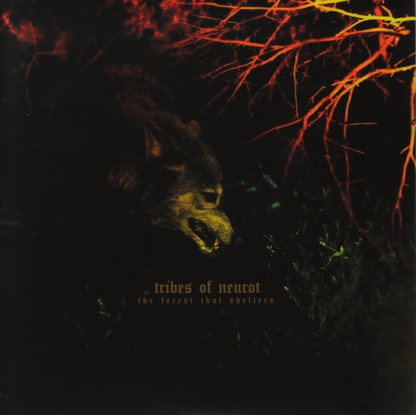 Earth – The Forest That Shelters / Filament