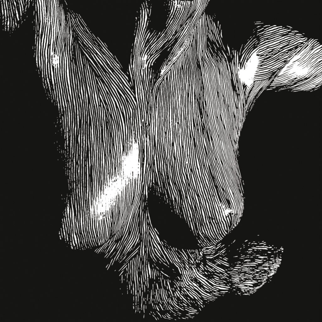 Oceansize – Self Preserved While the Bodies Float Up