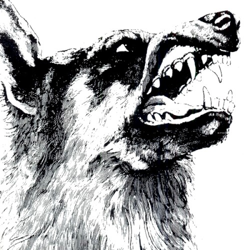 Crippled Black Phoenix – I, Vigilante