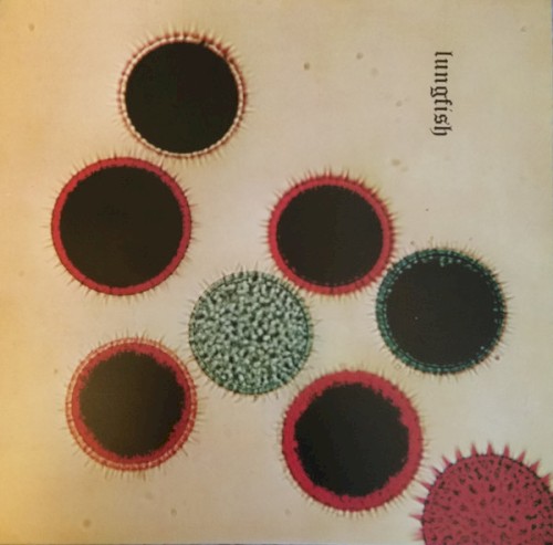 Lungfish – Artificial Horizon