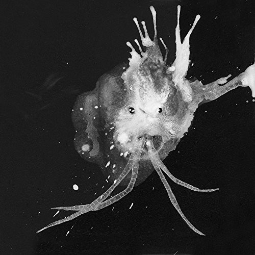 Sigur Rós – Route One