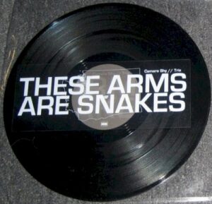 These Arms Are Snakes / Russian Circles