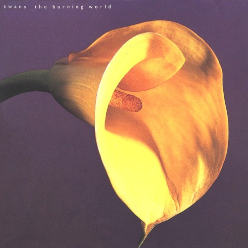 Swans – The Burning World