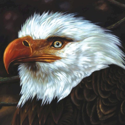 Mogwai – The Hawk Is Howling