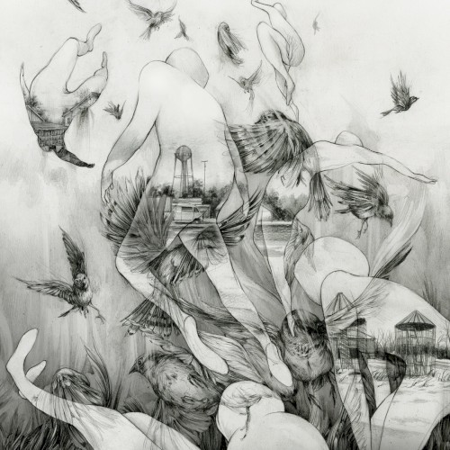 Mono – The Last Dawn