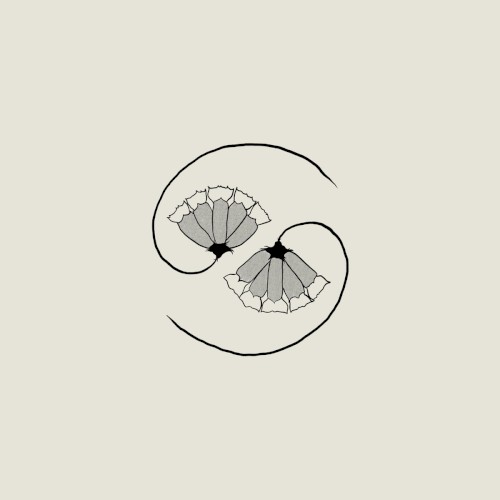 Godspeed You! Black Emperor – G_d’s Pee AT STATE’S END!