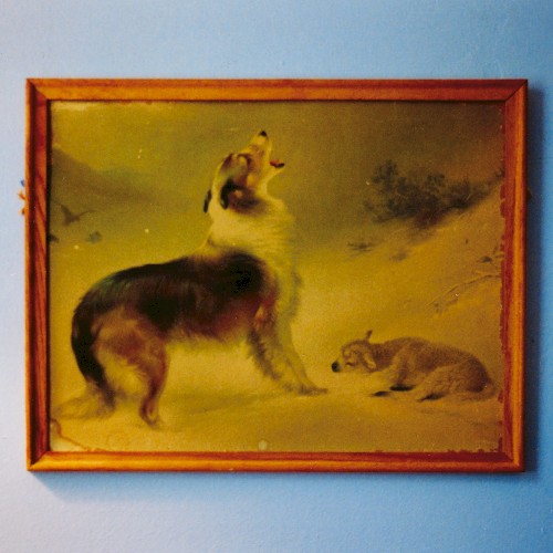Explosions in the Sky – The Rescue