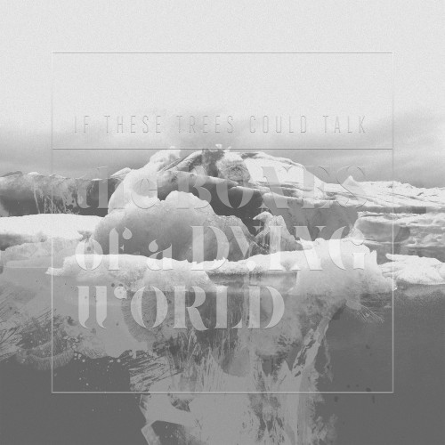 If These Trees Could Talk – The Bones of a Dying World