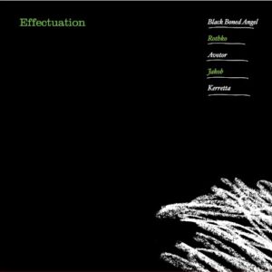 Effectuation