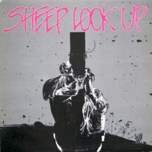 Sheep Look Up