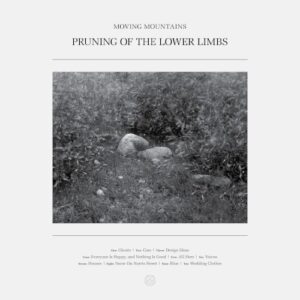 Pruning of the Lower Limbs