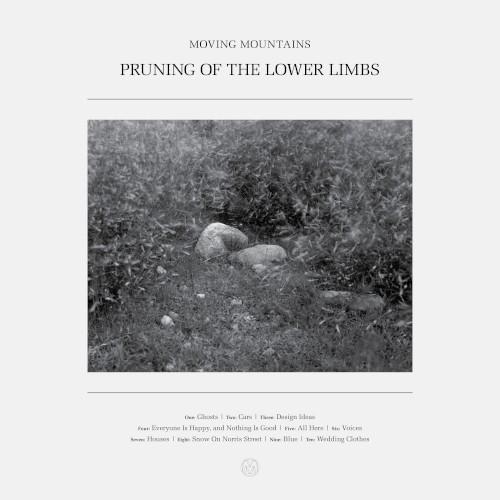 Moving Mountains – Pruning of the Lower Limbs