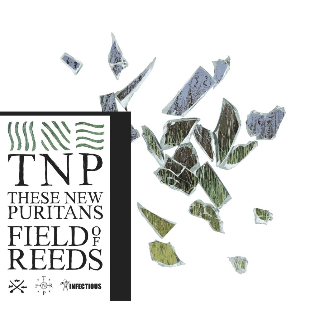 These New Puritans – Field of Reeds
