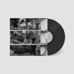 Windy & Carl Meet Optigan Conservatory by Windy & Carl with Optigan Conservatory