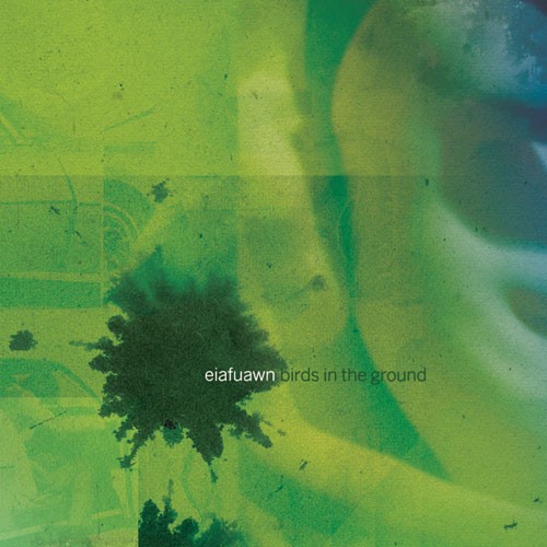 Eiafuawn – Birds In The Ground