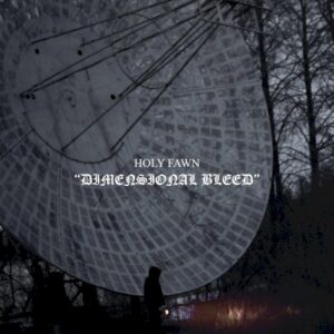 Holy Fawn – Dimensional Bleed vinyl