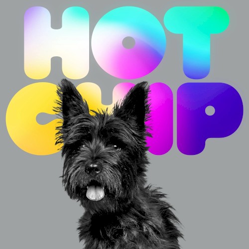 Hot Chip – A Long Way From Kansas