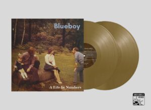 Blueboy – A Life In Numbers vinyl