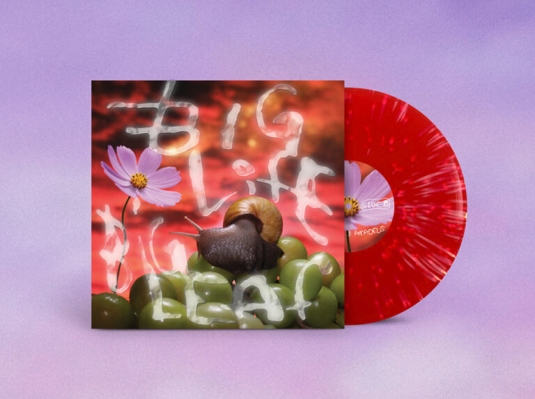 No Joy: Big Life, Big Leaf — Rose Petal 10″ Out Now