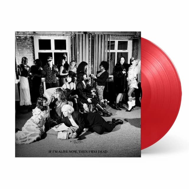 PINS, If I'm Alive Now, Then I Was Dead album artwork