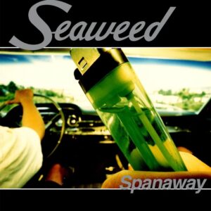 Seaweed – Spanaway (30th Anniversary)