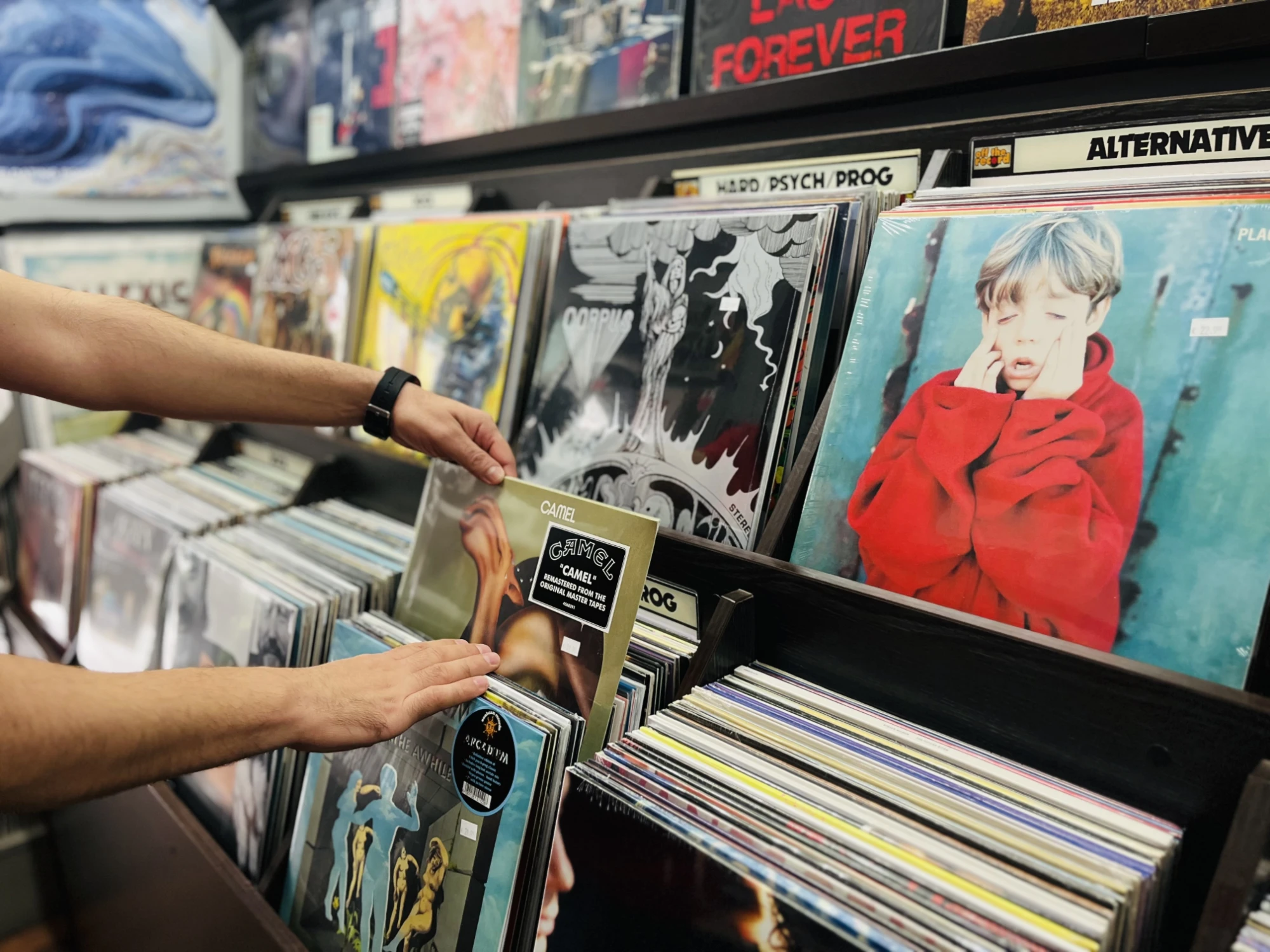 Someone flicking through new vinyl in a record shop's racks